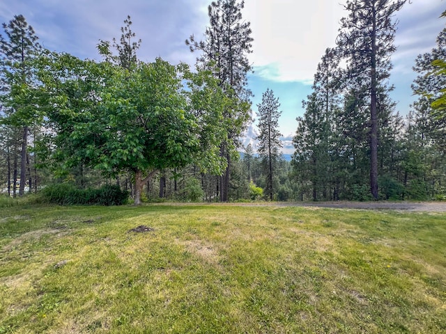 395A Old Dominion Rd, Colville, WA 99114 - photo 41