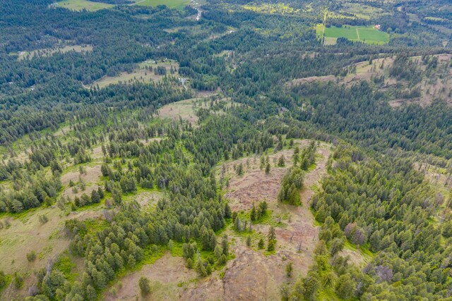 XX Night Hawk Ln, Newport, WA 99156 - photo 4