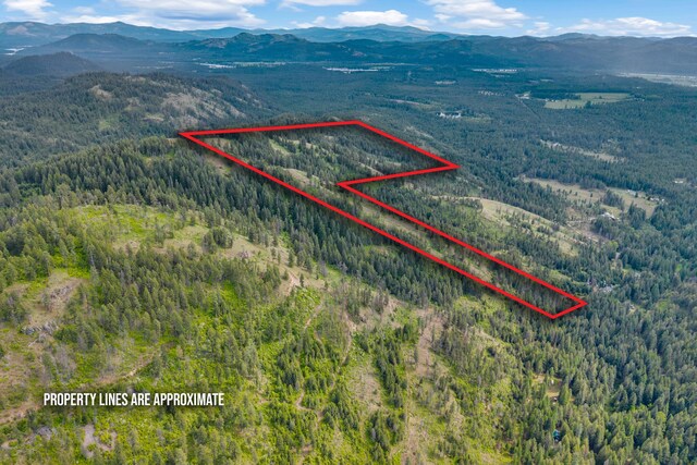XX Night Hawk Ln, Newport, WA 99156 - photo 2