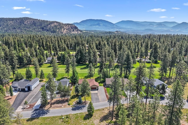 325 Hogans Way, Chewelah, WA 99109 - drone / aerial view of a mountainous background and a heavily wooded area