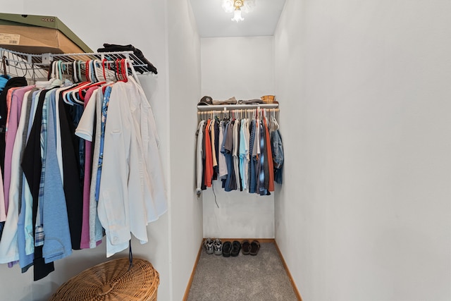 325 Hogans Way, Chewelah, WA 99109 - walk in closet with carpet flooring