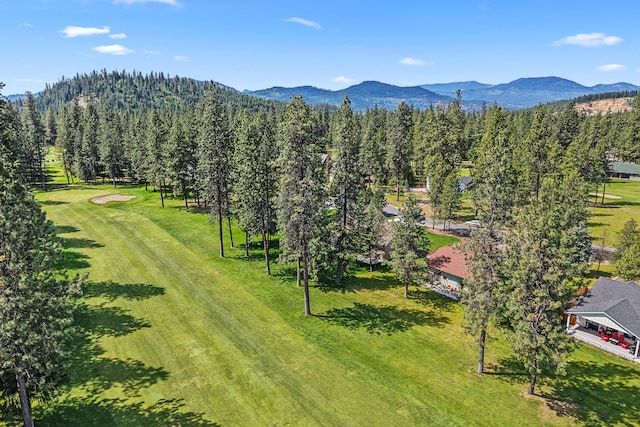 325 Hogans Way, Chewelah, WA 99109 - bird's eye view of mountains