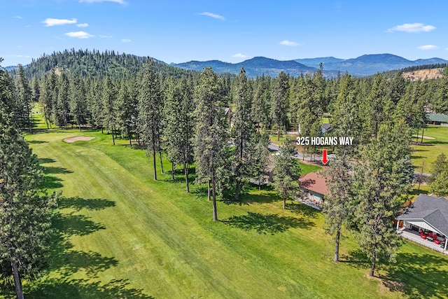 325 Hogans Way, Chewelah, WA 99109 - bird's eye view of a mountain backdrop