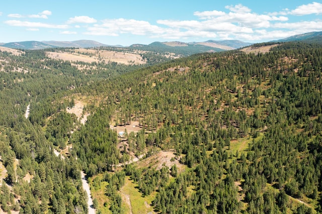 drone / aerial view with a mountain view