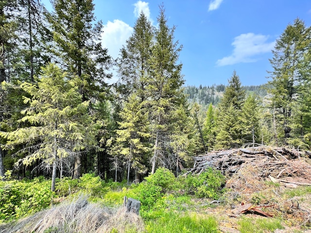 view of local wilderness