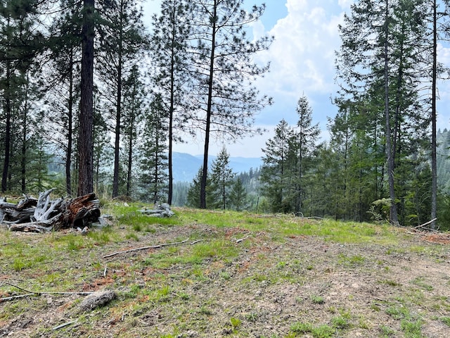 view of nature featuring a mountain view