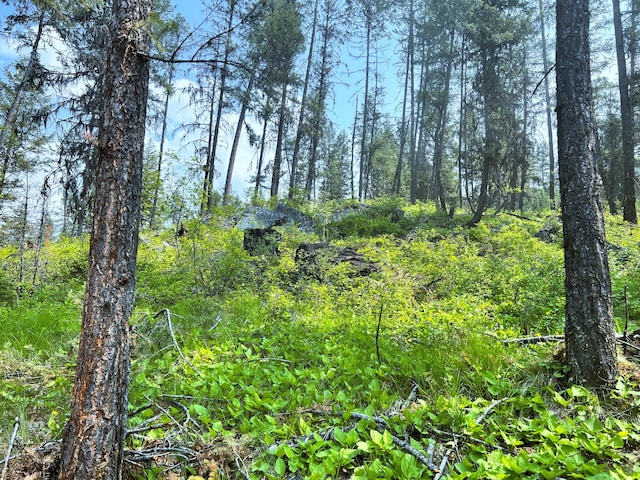 view of landscape