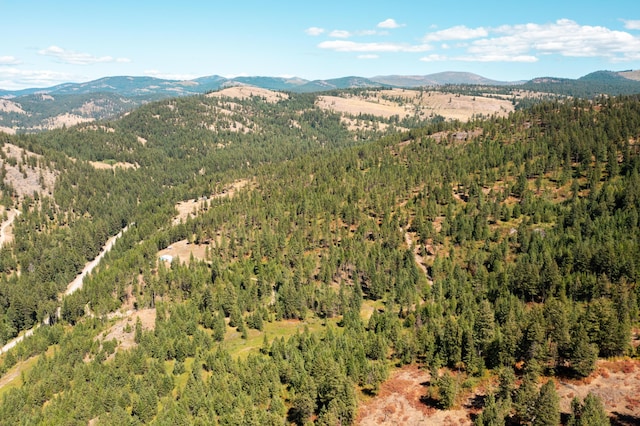 aerial view with a mountain view