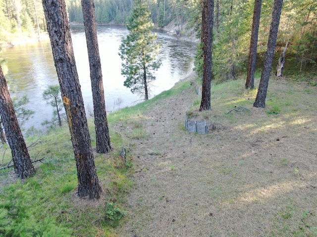 view of local wilderness featuring a water view and a forest view
