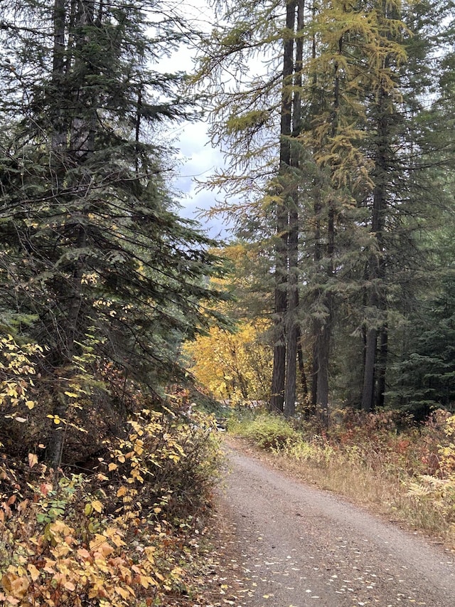 4087 Hesseltine Rd, Valley, WA 99181 - view of road with a view of trees