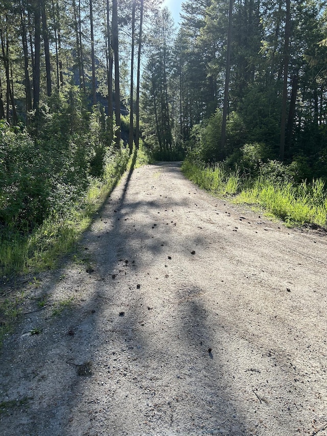 4087 Hesseltine Rd, Valley, WA 99181 - view of street