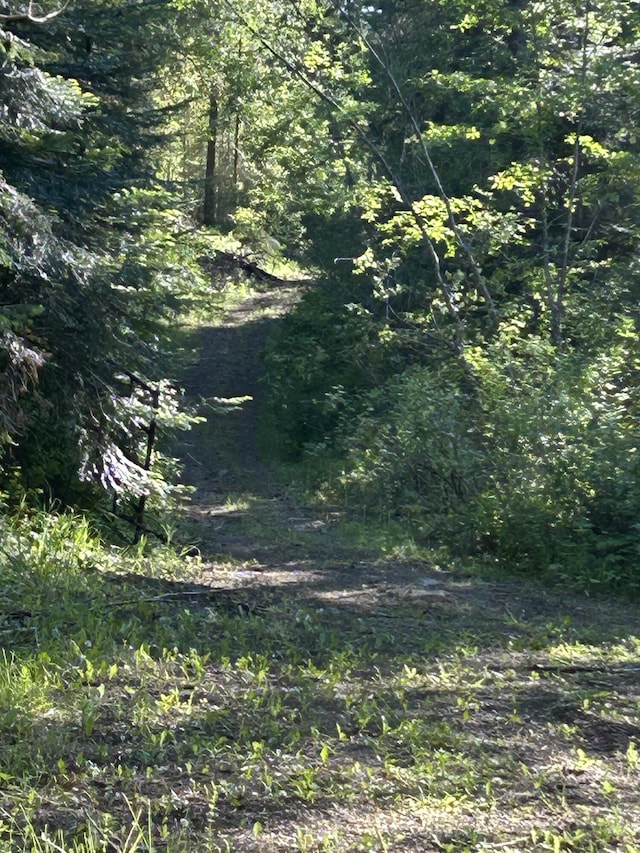 4087 Hesseltine Rd, Valley, WA 99181 - view of landscape with a wooded view