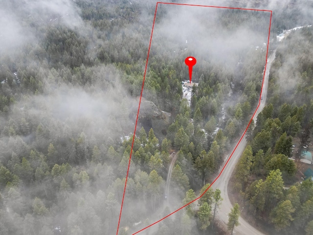 4087 Hesseltine Rd, Valley, WA 99181 - aerial view featuring a wooded view
