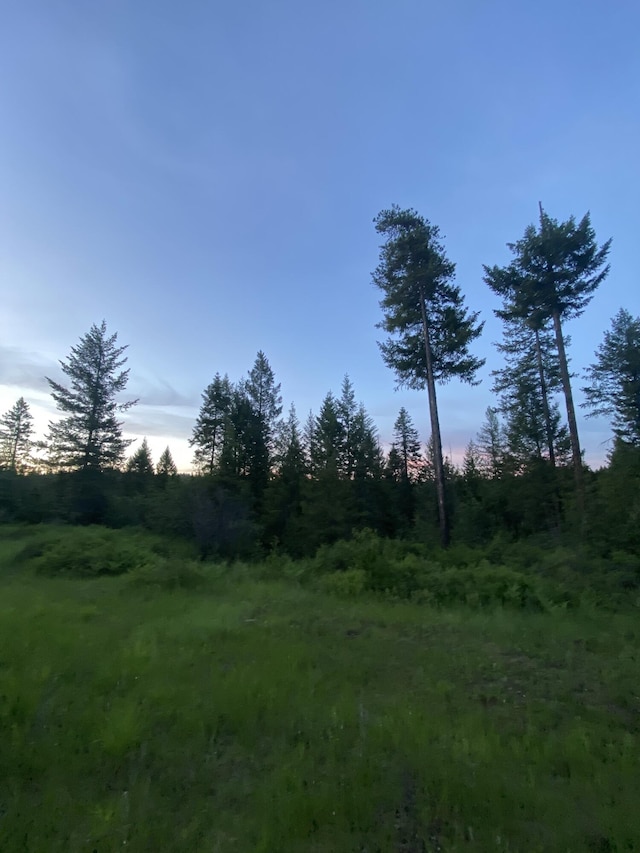 4087 Hesseltine Rd, Valley, WA 99181 - view of nature
