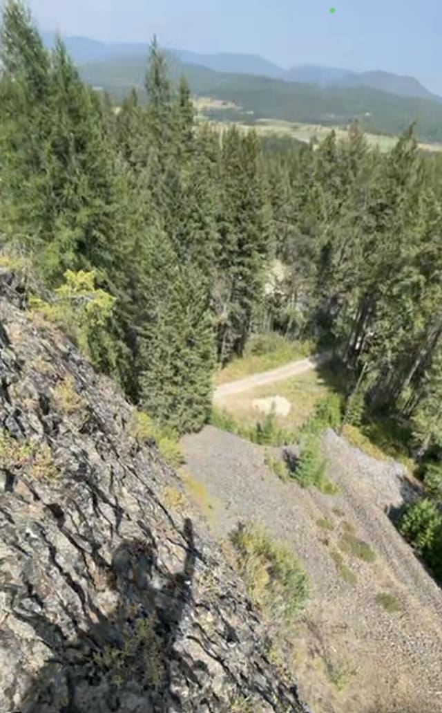 4087 Hesseltine Rd, Valley, WA 99181 - birds eye view of property