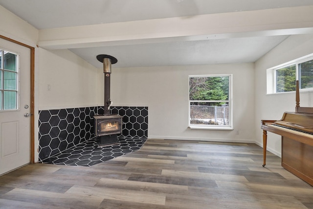 4087 Hesseltine Rd, Valley, WA 99181 - interior details with wood finished floors and a wood stove