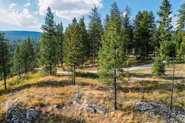 Listing photo 3 for 5X Jacknife Lookout Rd, Kettle Falls WA 99141