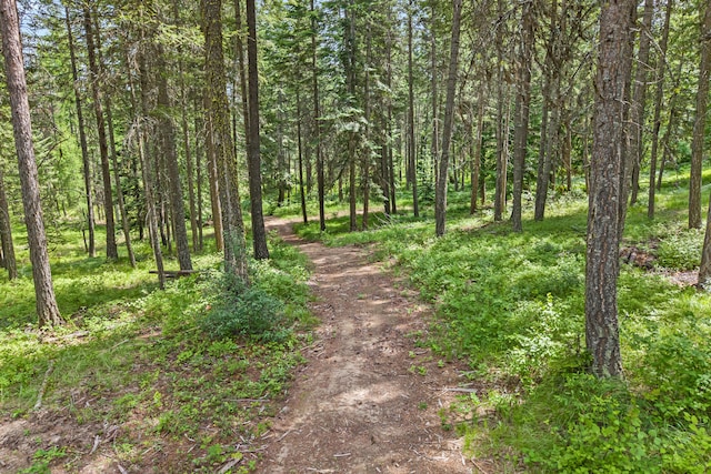 1157 Orin-Rice Rd, Colville, WA 99114 - view of street featuring a forest view
