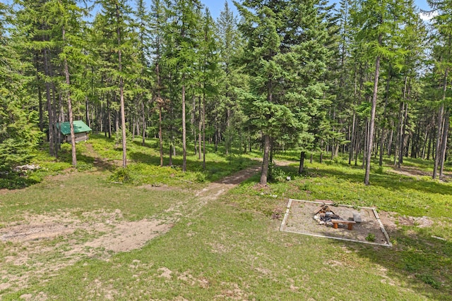1157 Orin-Rice Rd, Colville, WA 99114 - view of yard with a forest view