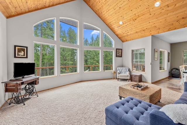 1157 Orin-Rice Rd, Colville, WA 99114 - living area featuring wood ceiling, high vaulted ceiling, and wood finished floors