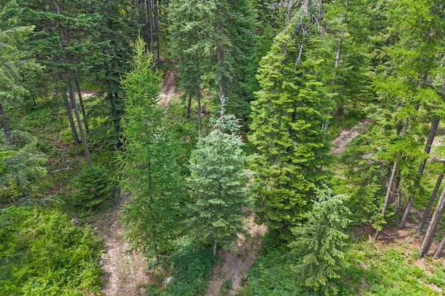 1157 Orin-Rice Rd, Colville, WA 99114 - view of woods