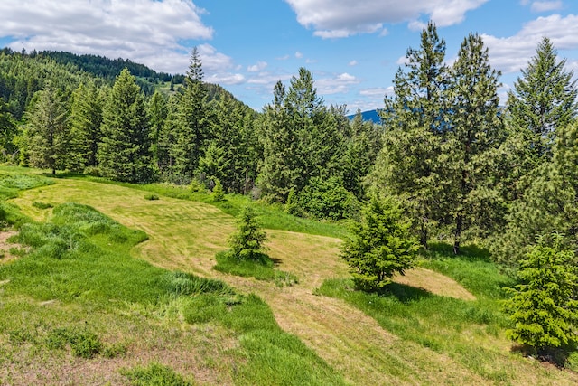 1156D Mingo Mountain Rd, Kettle Falls, WA 99141