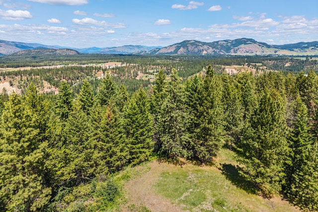 1156D Mingo Mountain Rd, Kettle Falls, WA 99141