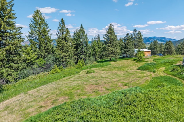 1156D Mingo Mountain Rd, Kettle Falls, WA 99141