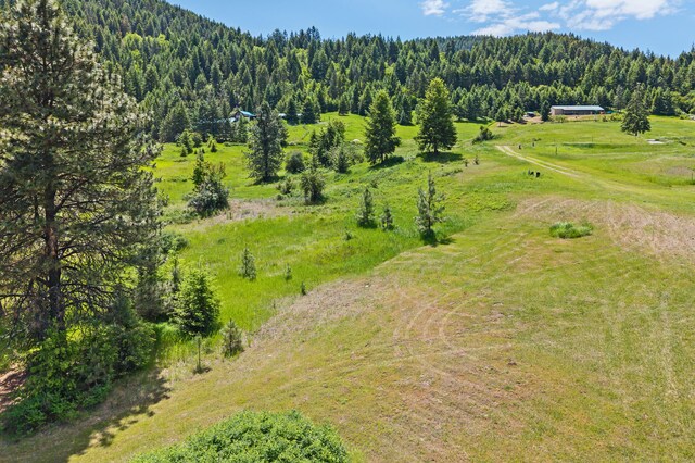 1156D Mingo Mountain Rd, Kettle Falls, WA 99141