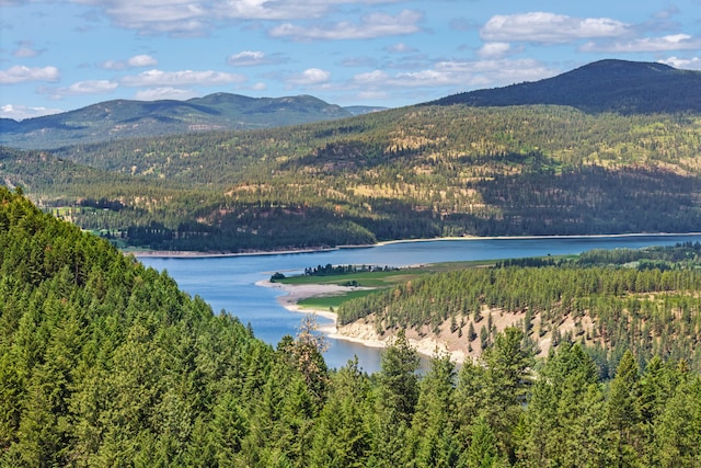 1156D Mingo Mountain Rd, Kettle Falls, WA 99141