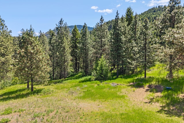 1156D Mingo Mountain Rd, Kettle Falls, WA 99141
