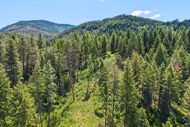 1156D Mingo Mountain Rd, Kettle Falls, WA 99141