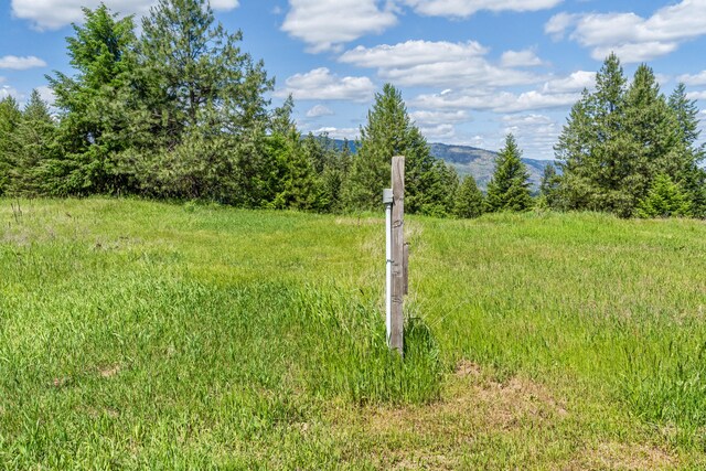 1156D Mingo Mountain Rd, Kettle Falls, WA 99141
