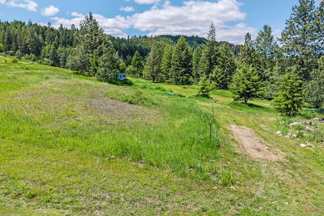 1156D Mingo Mountain Rd, Kettle Falls, WA 99141