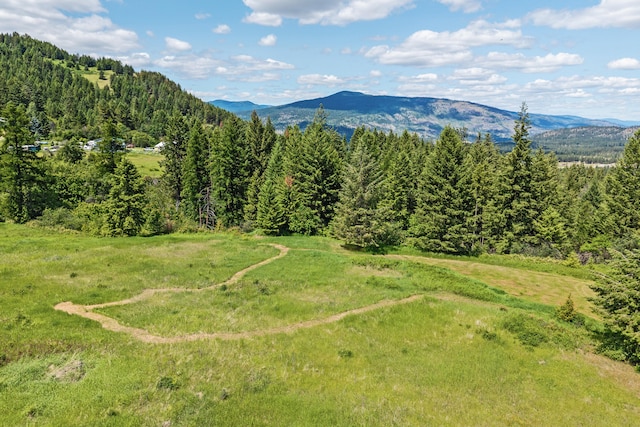 1156D Mingo Mountain Rd, Kettle Falls, WA 99141