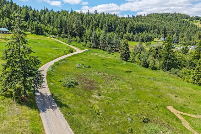 1156D Mingo Mountain Rd, Kettle Falls, WA 99141