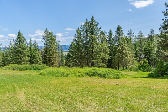 1156D Mingo Mountain Rd, Kettle Falls, WA 99141