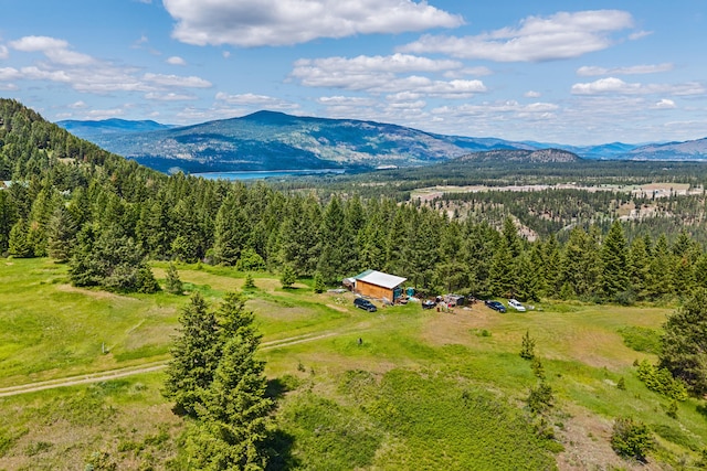 1156D Mingo Mountain Rd, Kettle Falls, WA 99141