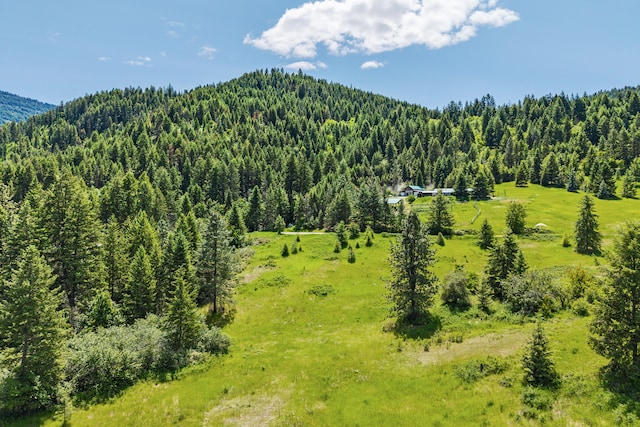 1156D Mingo Mountain Rd, Kettle Falls, WA 99141