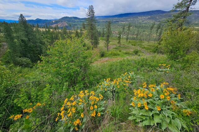 2748 House Rd, Kettle Falls, WA 99141 - photo 14
