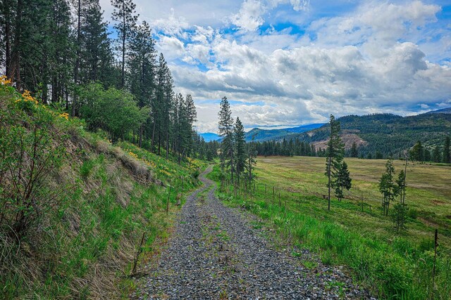 2748 House Rd, Kettle Falls, WA 99141 - photo 16