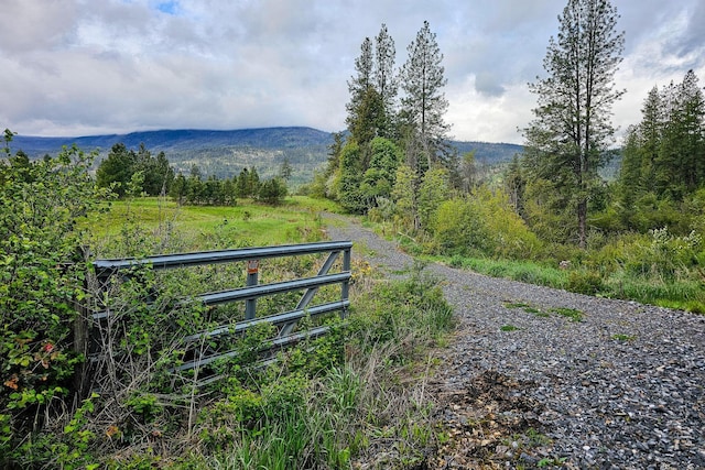 2748 House Rd, Kettle Falls, WA 99141 - photo 3