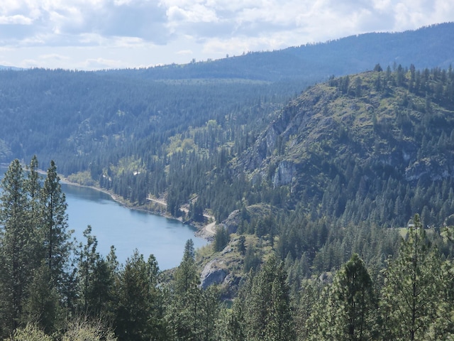 3164 Denney Ranch Way, Kettle Falls, WA 99141 - water view with a forest and a mountain backdrop