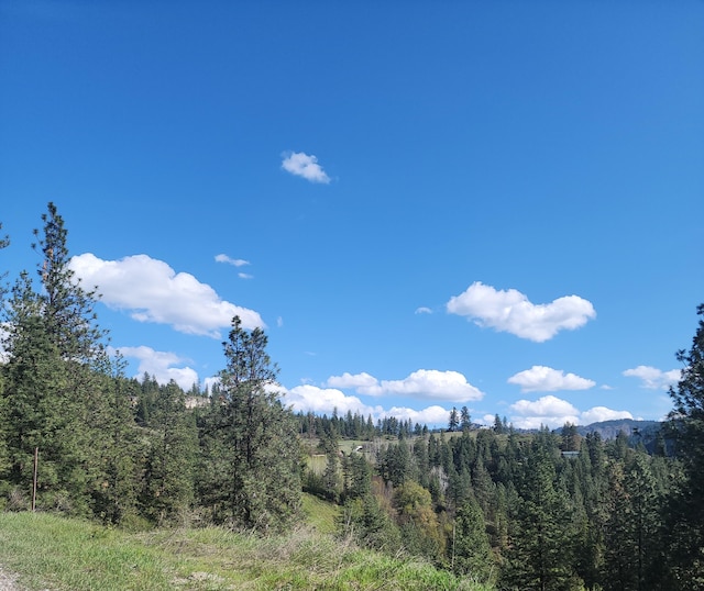 3164 Denney Ranch Way, Kettle Falls, WA 99141 - view of wooded area