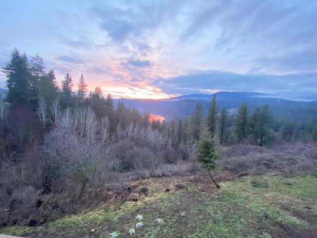 3164 Denney Ranch Way, Kettle Falls, WA 99141 - mountain view with a heavily wooded area