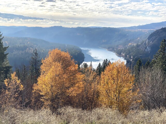 3164 Denney Ranch Way, Kettle Falls, WA 99141 - view of mountain background featuring a forest and a large body of water