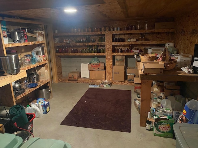 3164 Denney Ranch Way, Kettle Falls, WA 99141 - view of storage room