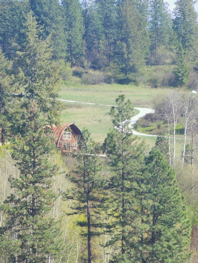 3164 Denney Ranch Way, Kettle Falls, WA 99141 - view of subject property with a heavily wooded area