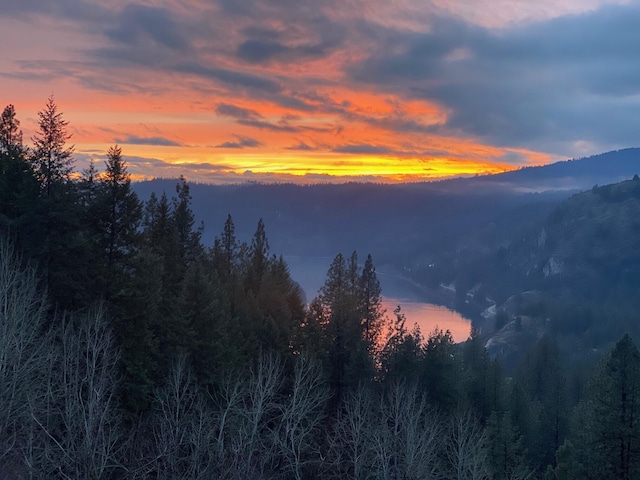 3164 Denney Ranch Way, Kettle Falls, WA 99141 - view of mountain backdrop featuring a forest