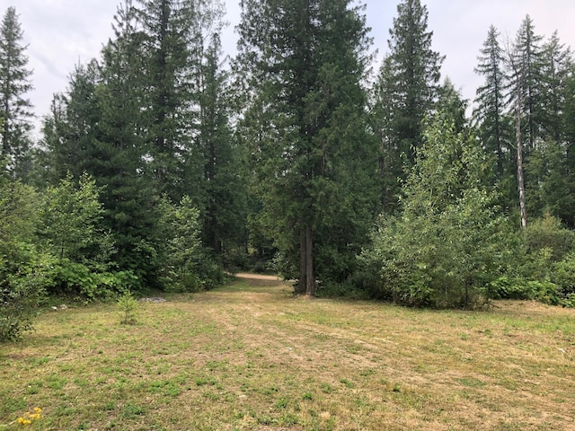 3891-P Cedar Creek Rd, Colville, WA 99114 - photo 13
